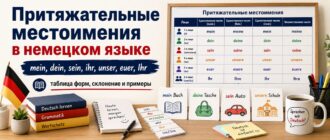 Притяжательные местоимения в немецком языке: mein, dein, sein, ihr, unser и euer