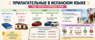 Прилагательные в испанском языке: род, число и порядок слов
